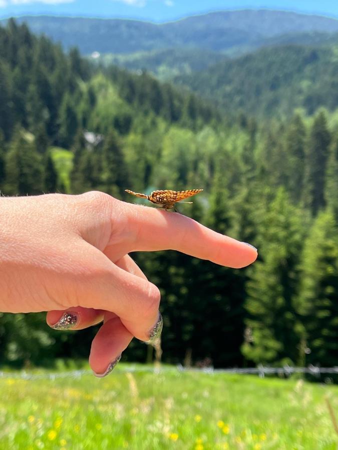 Nova VarošZlatar Resetアパートメント エクステリア 写真